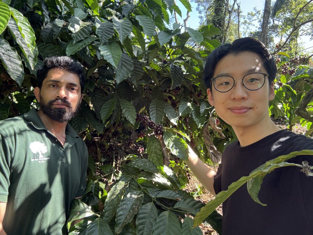 コーヒー農園のインターンシップ